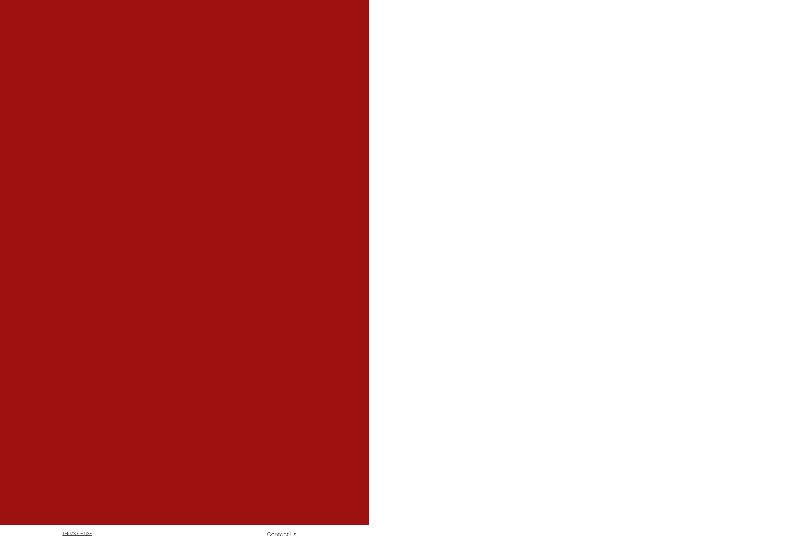 PDF File Viewer